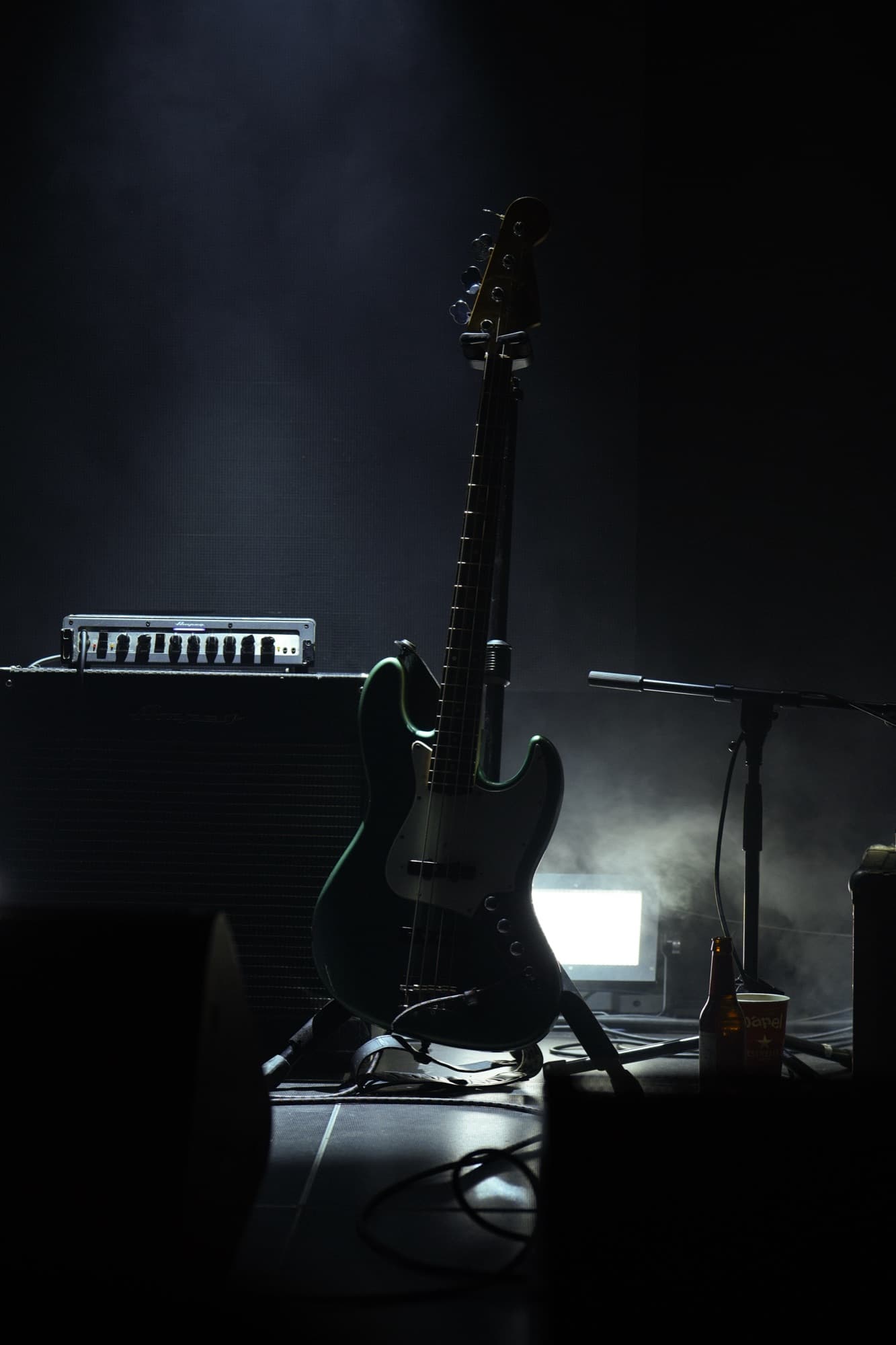 Fotografía de concierto en directo